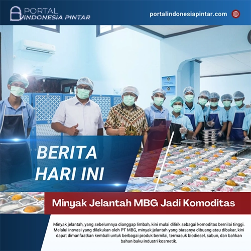 Minyak Jelantah MBG Jadi Komoditas